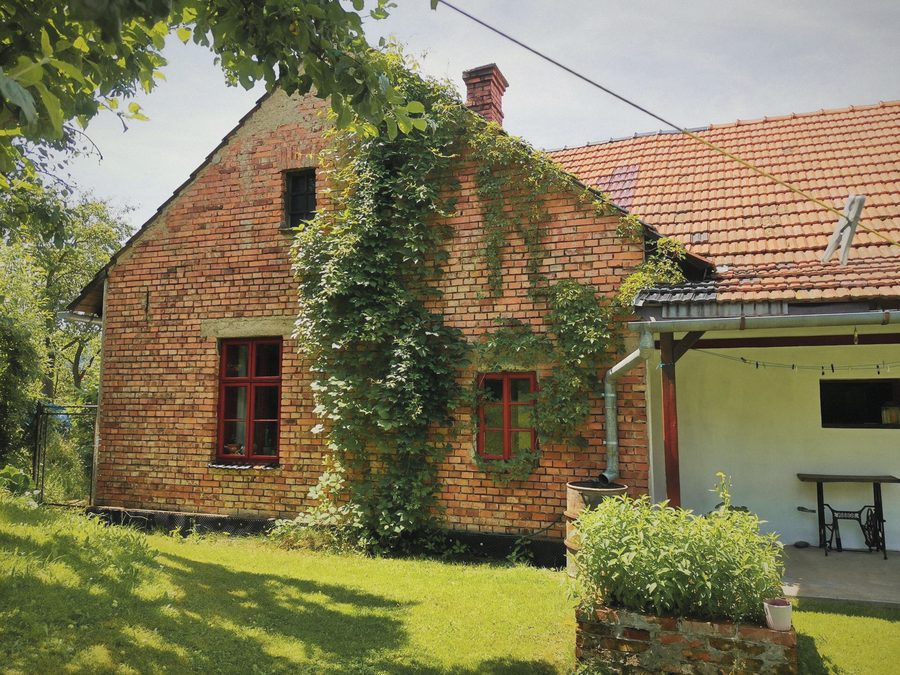 Cihlový štít porostlý břečťanem a bílá stěna s červenými okny