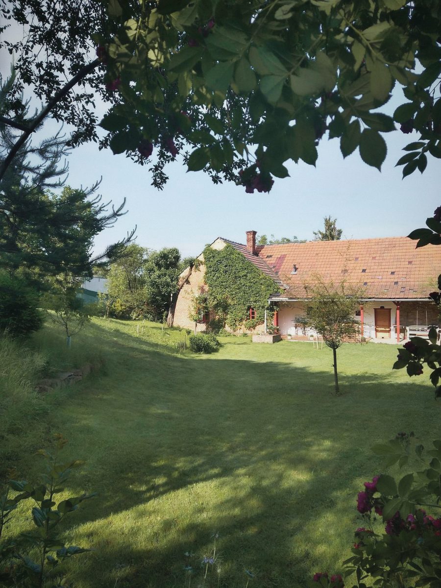 Zahrada s trávníkem a stromy, v dálce stavení